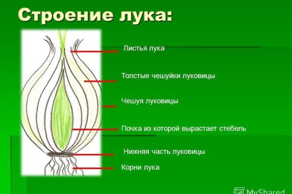 Как зайти на кракен в торе