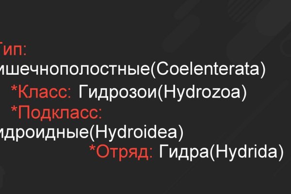 Не заходит на кракен