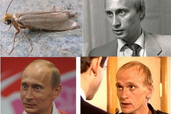Зеркало вход кракен