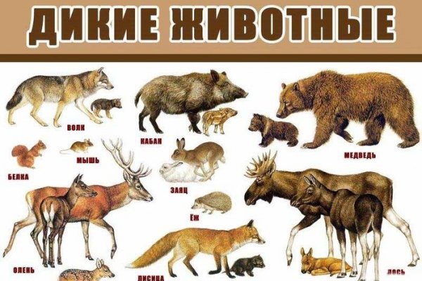 Кракен 17 af
