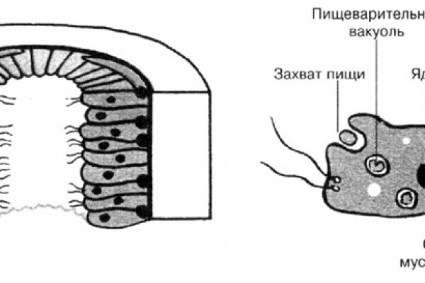 Кракен актуальные ссылки на сегодня